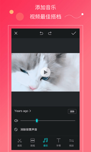 小蝌蚪视频剪辑