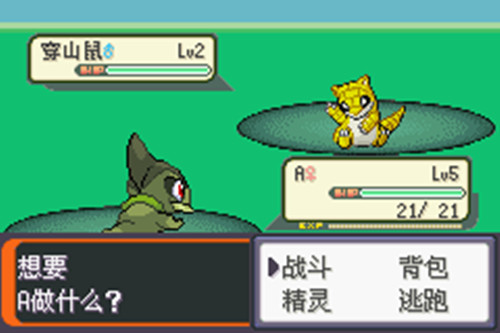 口袋妖怪：胜利之火（悟饭）