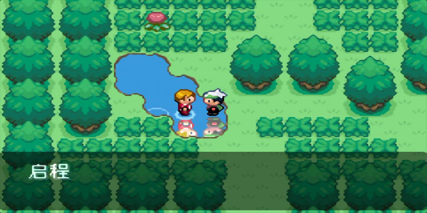 口袋妖怪：永恒之焱