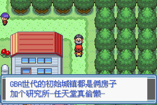 口袋妖怪：永恒之焱