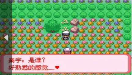 口袋妖怪 暗古神坛6.0 Another Result（悟饭）