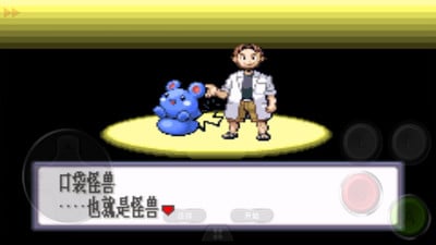 口袋妖怪：红宝石