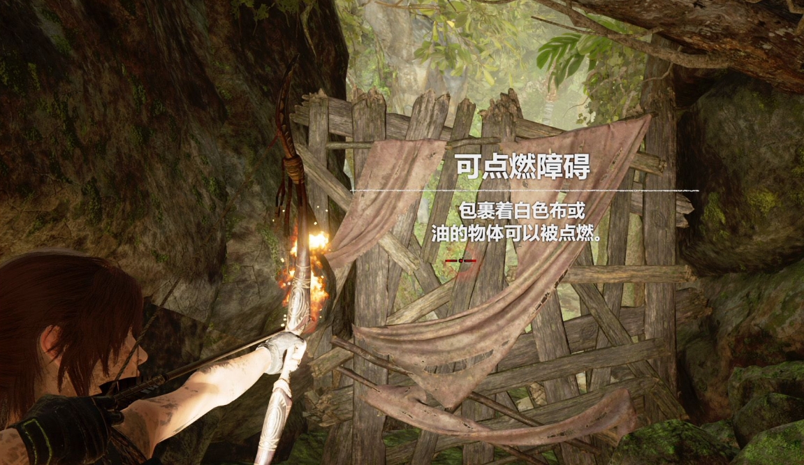 古墓丽影暗影秘鲁丛林遗物怎么拿