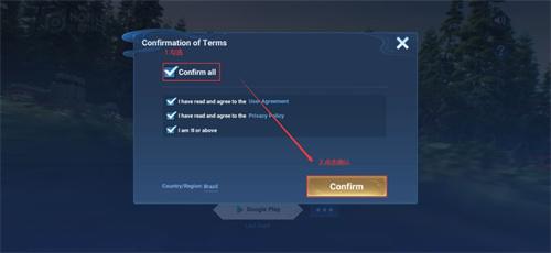 王者荣耀国际服登录详细教程图4