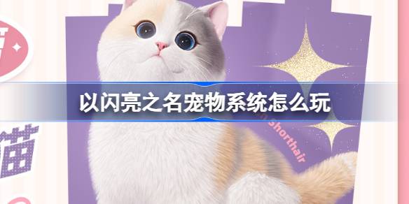 以闪亮之名宠物系统怎么玩？