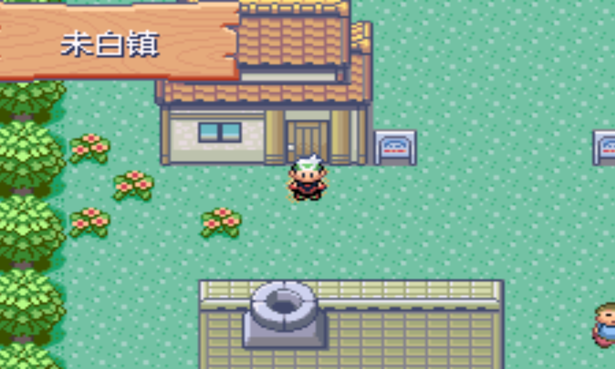 口袋妖怪：绿宝石386