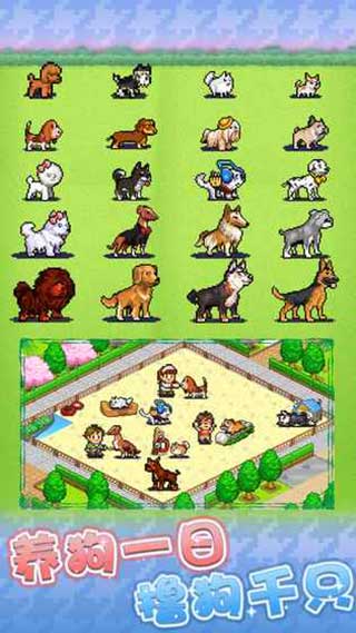 发现狗狗乐园app