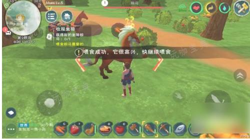 《创造与魔法》的坐骑怎么抓