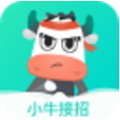 小牛接招