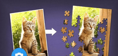 只是拼图（Just Jigsaws）