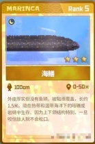 《潜水员戴夫》海鳝怎么抓？