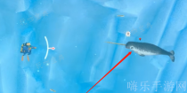 《潜水员戴夫》独角鲸怎么抓？