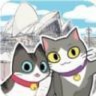 猫猫的旅行app