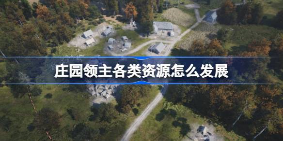 庄园领主各类资源怎么发展？