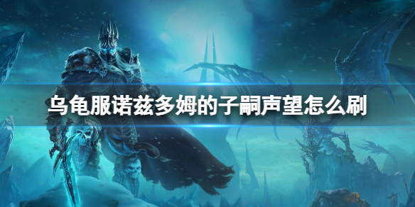 乌龟服诺兹多姆的子嗣声望获取指南