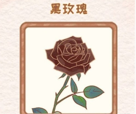 花店物语黑玫瑰怎么解锁-解锁方法