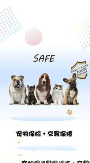 宠小七app(宠小七宠物社区)V1.2 最新版