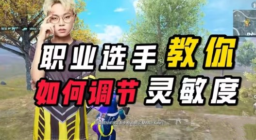 和平精英灵敏度分享码