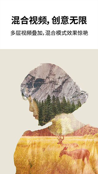 巧影去水印V4.6.6 安卓解锁直装版