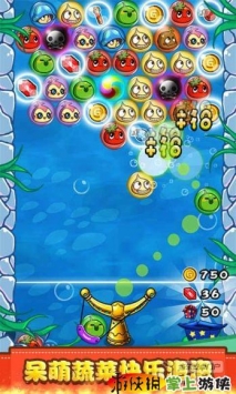 燃烧的蔬菜新年版