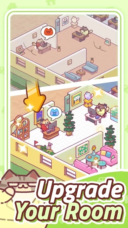 猫咪办公室养猫记