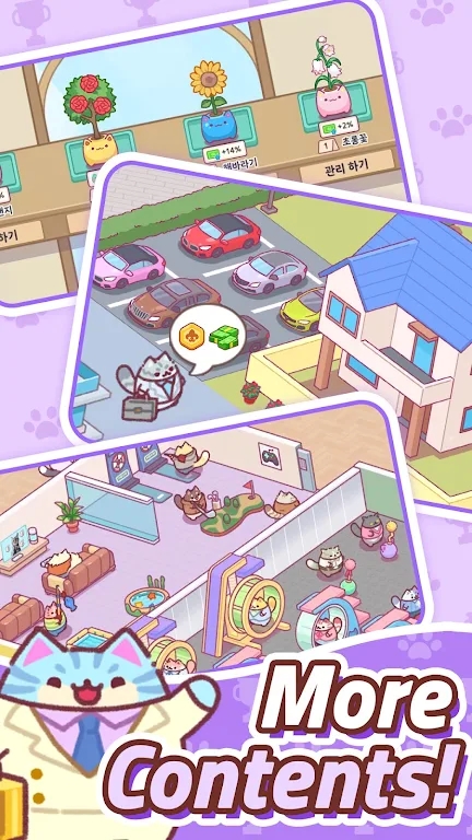 猫咪办公室养猫记