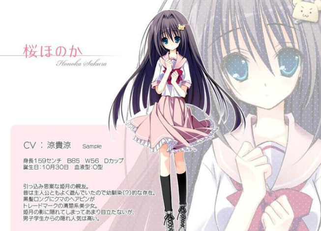 妹调日记游戏中文版