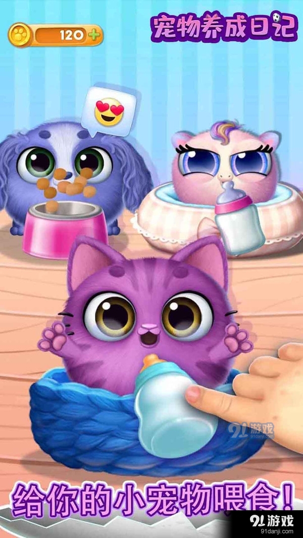 宠物养成日记