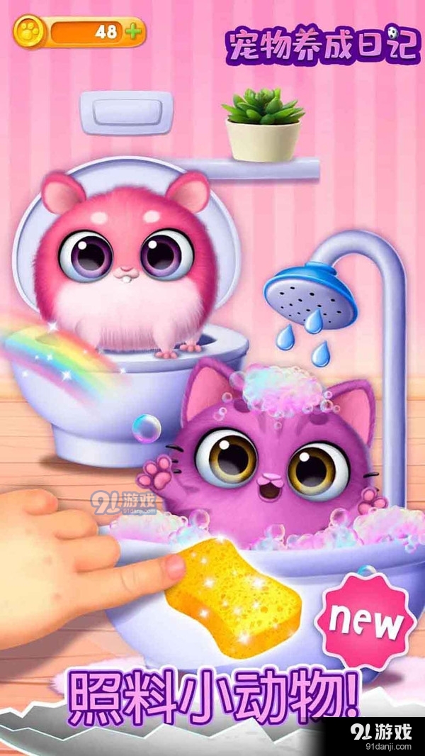 宠物养成日记