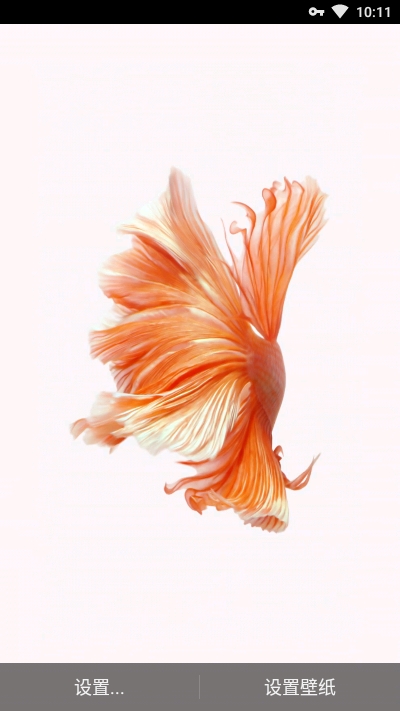 iphone Live Wallpaper