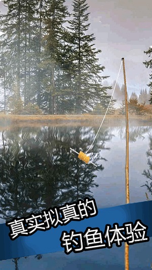 真实钓鱼大师