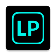 照片处理预设FLTR