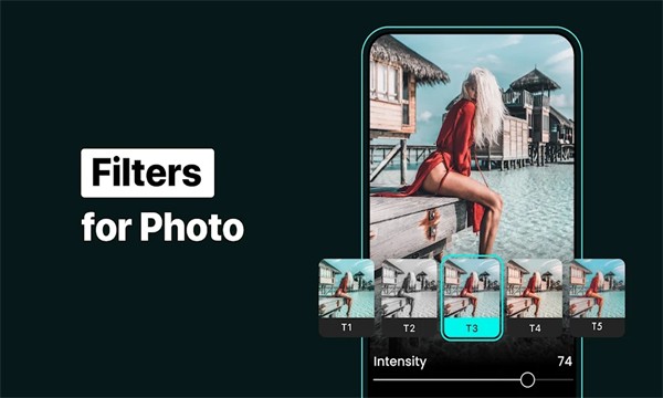 照片处理预设FLTR