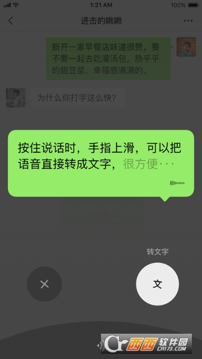 微信(WeChat)