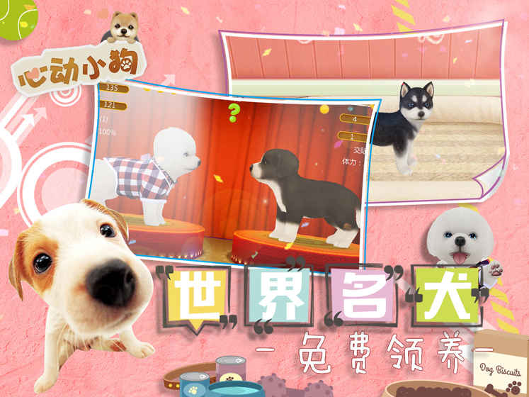 心动小狗APP
