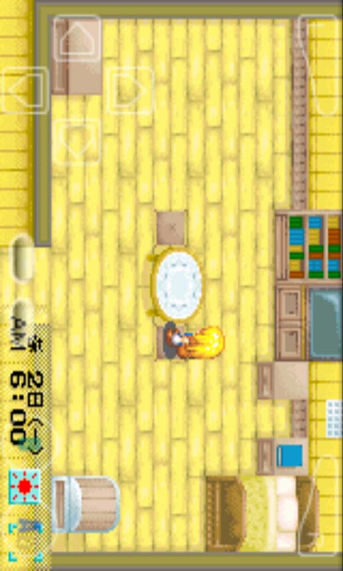 牧场物语：矿石镇的伙伴们女孩版