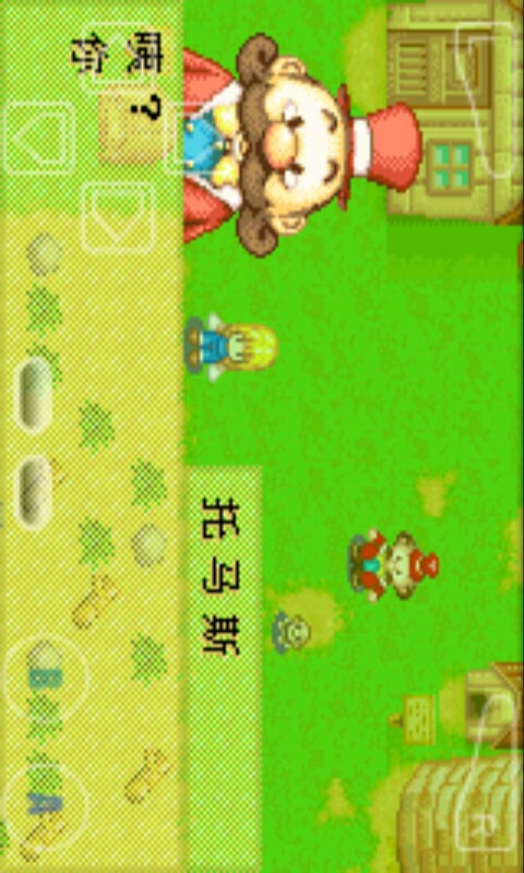 牧场物语：矿石镇的伙伴们女孩版