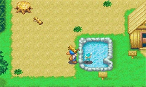 牧场物语精灵驿站中文版