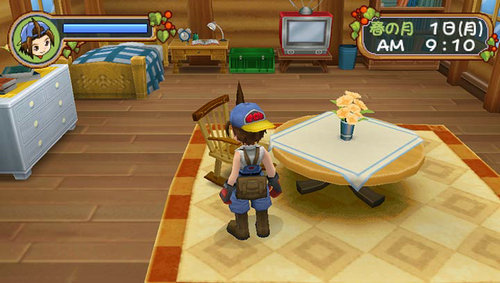 牧场物语蜜糖村与大家的心愿