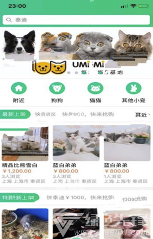 寻宠(寻宠服务网)V0.1.9 安卓版