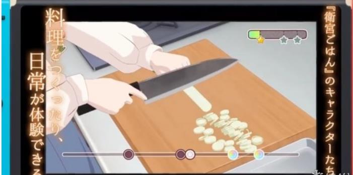 卫宫家今天的饭汉化版