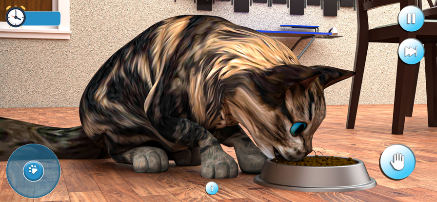 怀孕的猫和可爱的小猫游戏