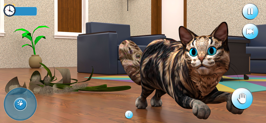 怀孕的猫和可爱的小猫游戏