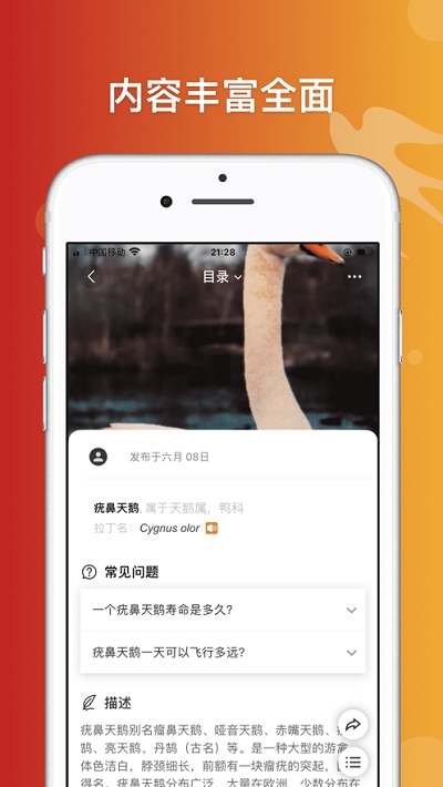 形色识鸟(鸟类识别)