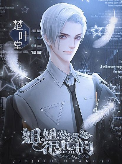 姐姐很忙的橙光