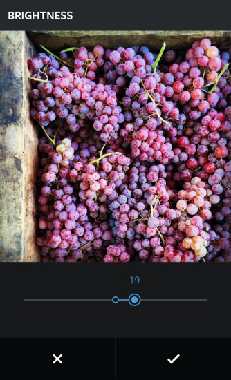 InsTake（Instagram图片保存）