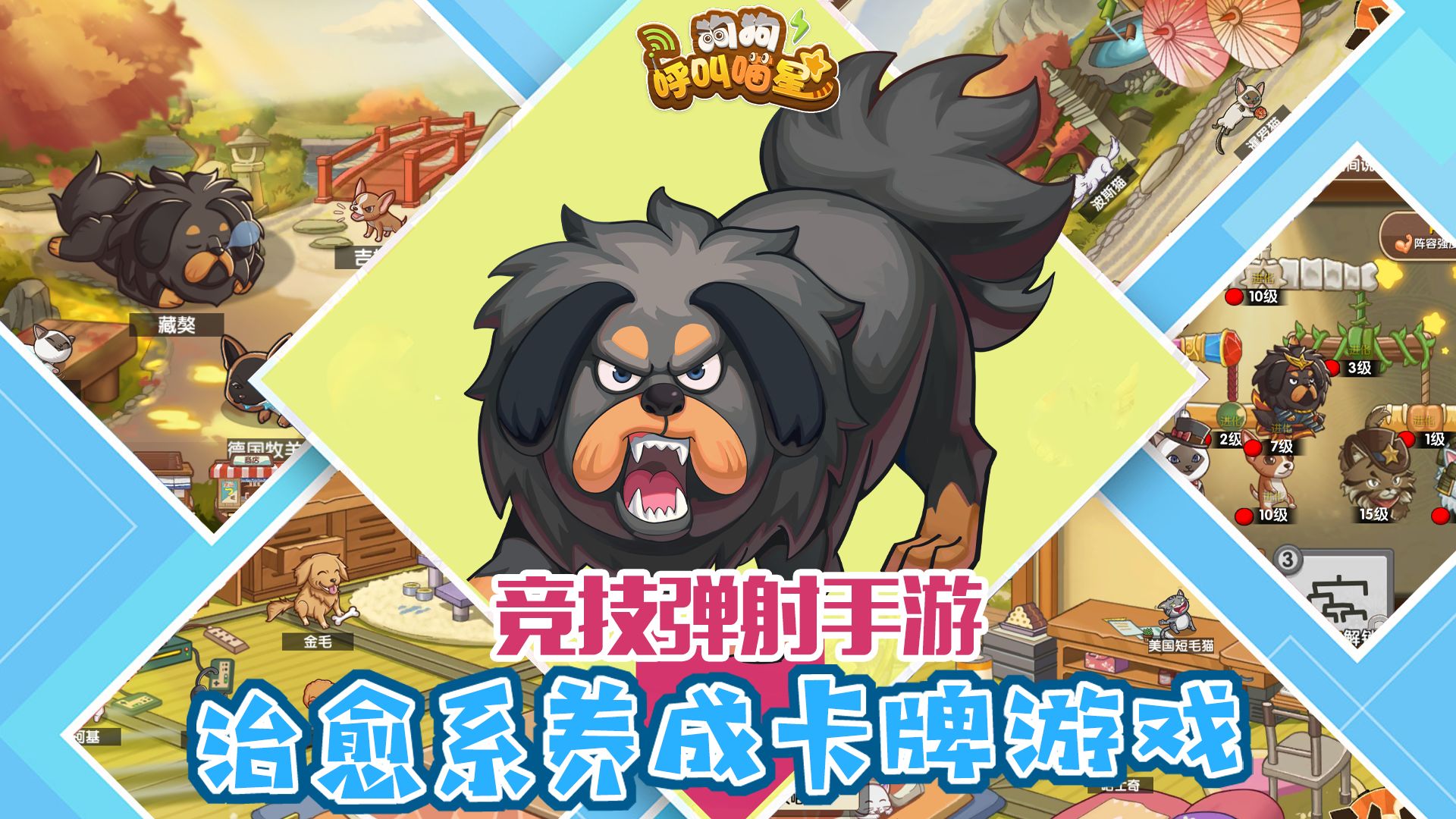 狗狗呼叫喵星测试服