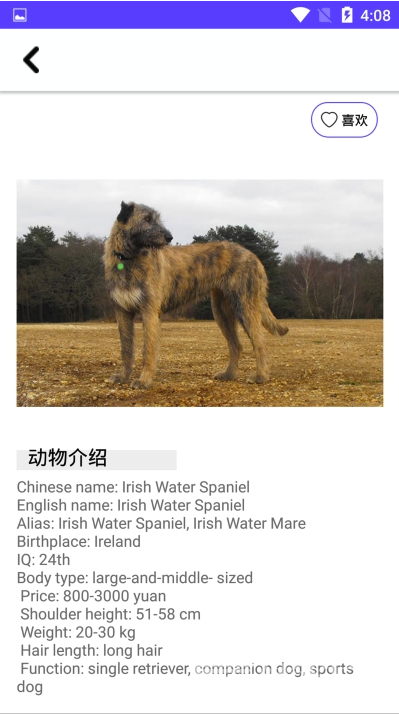 狗狗图鉴(专业动物科普图鉴)