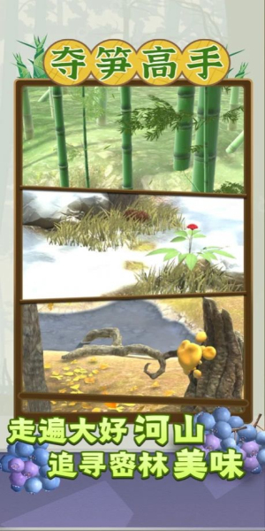 夺笋高手折相思