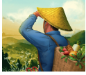 夺笋高手折相思